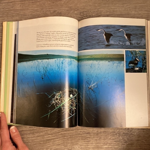 SEND OFFERS Antique National Geographic Hardcover, circa 1983 “Hidden Corners” - Picture 16 of 16